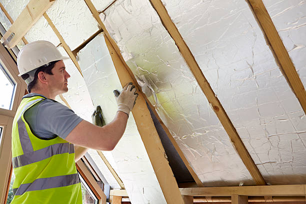 Best DIY Insulation Kits and Guidance in Chesterfield, IN
