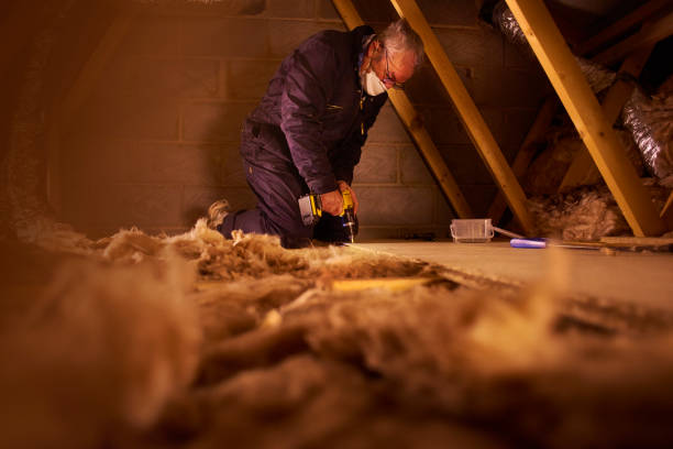 Professional Insulation Contractor in Chesterfield, IN